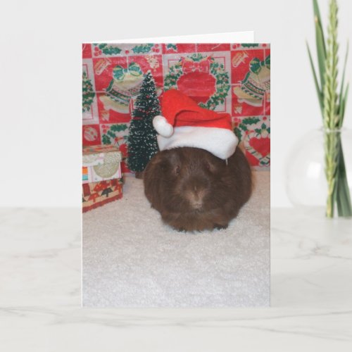 Brown Santa Pig Holiday Card
