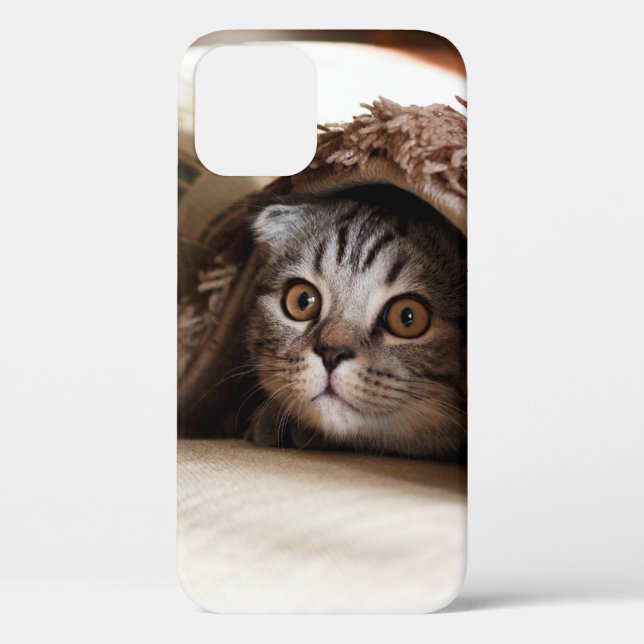 BROWN SCOTTISH FOLD IN BROWN THICK-PILE BLANKET Case-Mate iPhone CASE (Back)