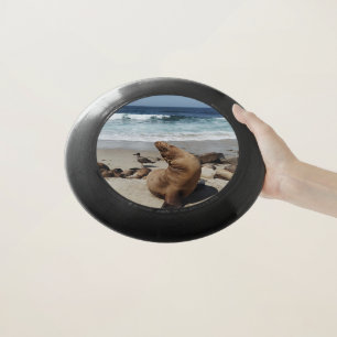 Brown Sea Lion on a Beach Wham-O Frisbee