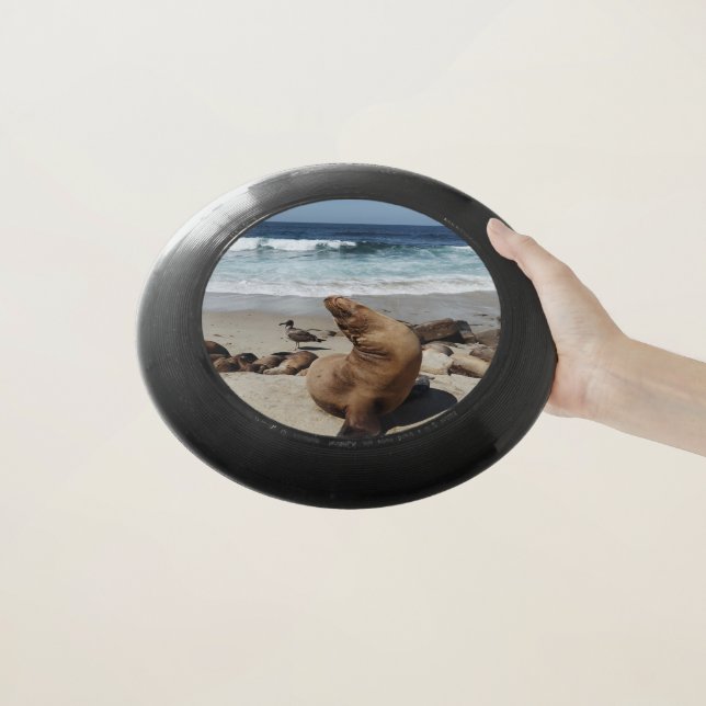 Brown Sea Lion on a Beach Wham-O Frisbee (In Hand)