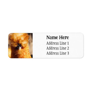 Brown Silkie Pet Chicken Return Address Label