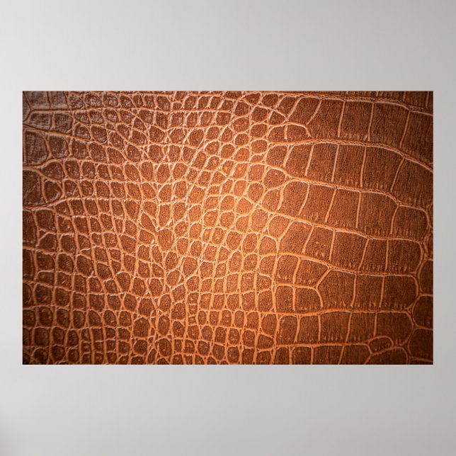 Brown skin leather texture backgroundskin,abstract poster (Front)