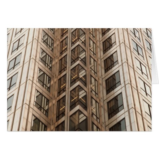 Brown Skyscraper Texture (Front Horizontal)