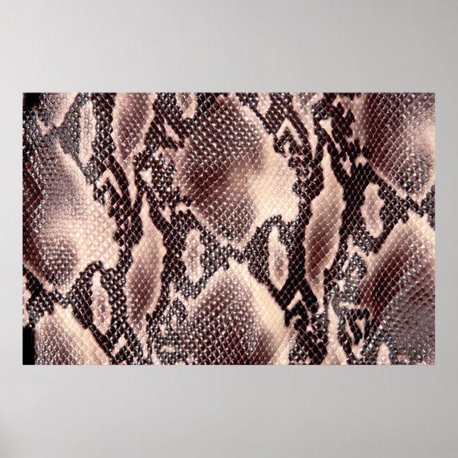 Brown snake leather texture poster (Front)