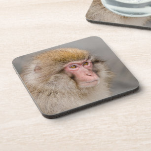Brown Snow Monkey, Japanese Photography Beverage Coaster