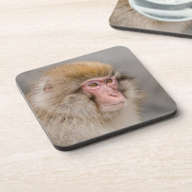 Brown Snow Monkey, Japanese Photography Beverage Coaster (Left Side)