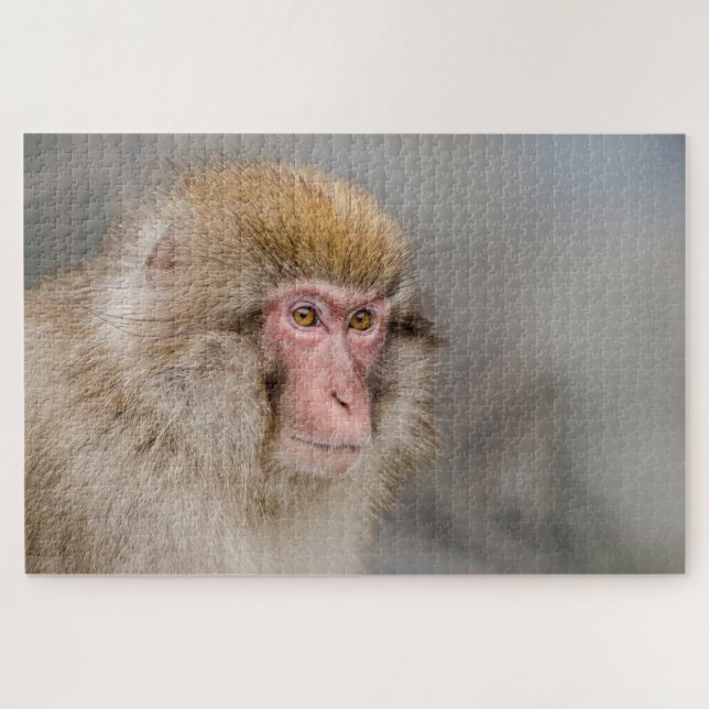Brown Snow Monkey, Japanese Photography Jigsaw Puzzle (Horizontal)
