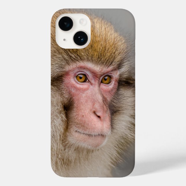 Brown Snow Monkey Photography, Japanese Wildlife Case-Mate iPhone Case (Back)