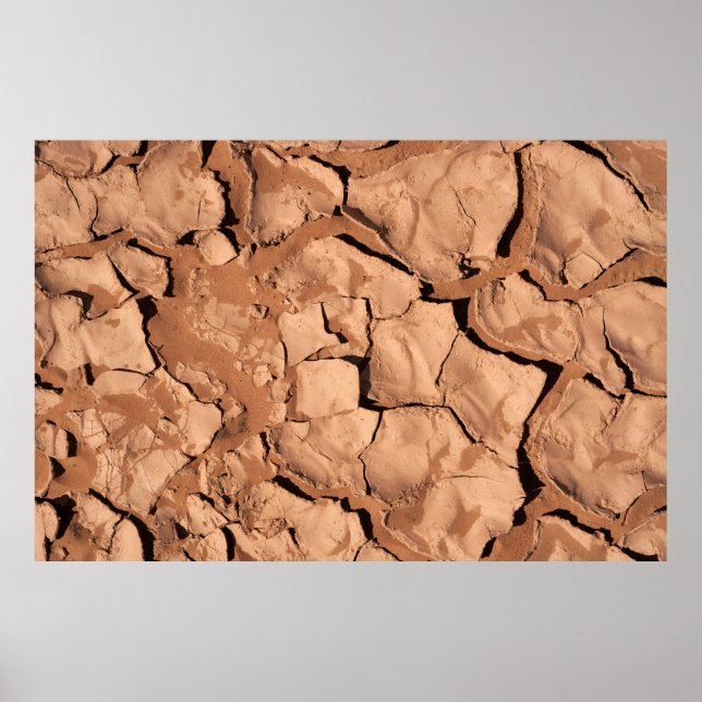 Brown soils poster (Front)