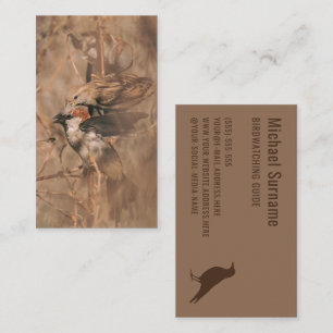 Brown Sparrow Birds Photograph Birdwatching Guide Business Card