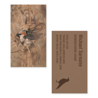 Brown Sparrow Birds Photograph Birdwatching Guide Business Card