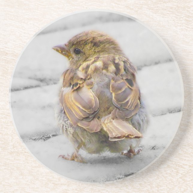 Brown Sparrow Coaster (Front)