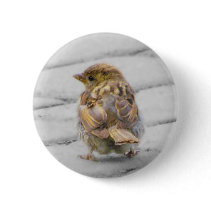 Brown Sparrow Pinback Button