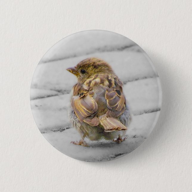 Brown Sparrow Pinback Button (Front)