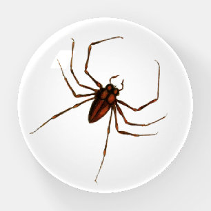 Brown Spider Paperweight