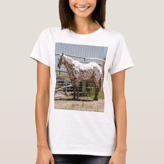 Appaloosa T-Shirts & Shirt Designs | Zazzle