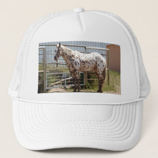 Brown spotted Appaloosa horse Trucker Hat