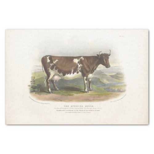 Brown Spotted Cow Ephemera Decoupage Vintage Farm Tissue Paper