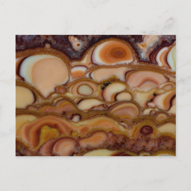 Brown Spotted Onyx Postcard (Front)