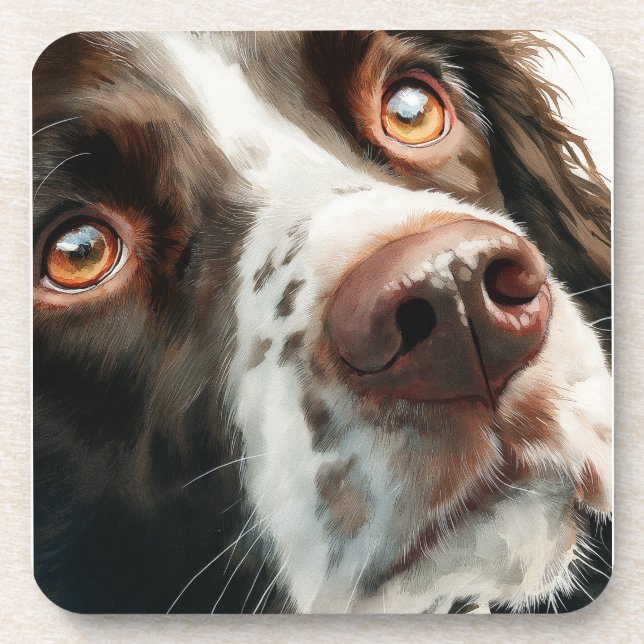 Brown springer spaniel portrait beverage coaster (Front)