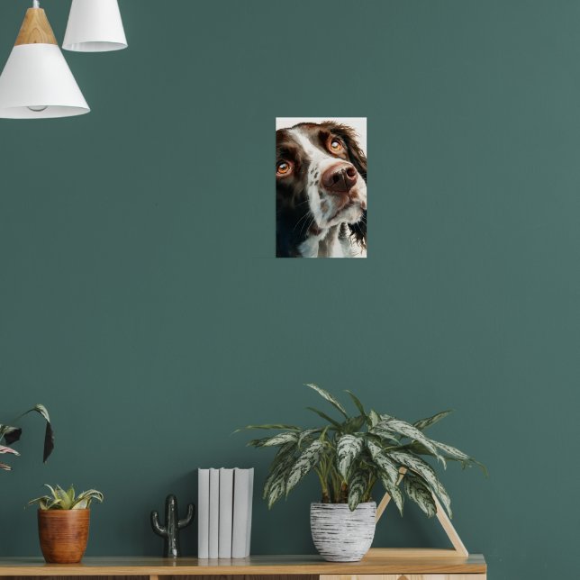 Brown springer spaniel  poster (Living Room 1)
