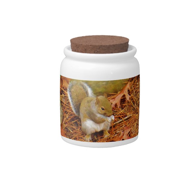 Brown Squirrel Eating Nut Candy Jar (Front)