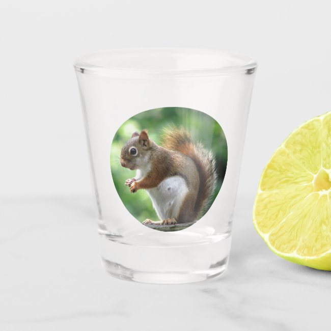 Brown Squirrel in Green Leaves Animal Shot Glass