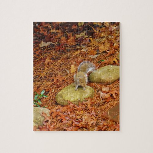 Brown Squirrel on Rock Jigsaw Puzzle
