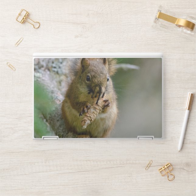 Brown Squirrel – Peaceful Nature Photography HP Laptop Skin (Desk)