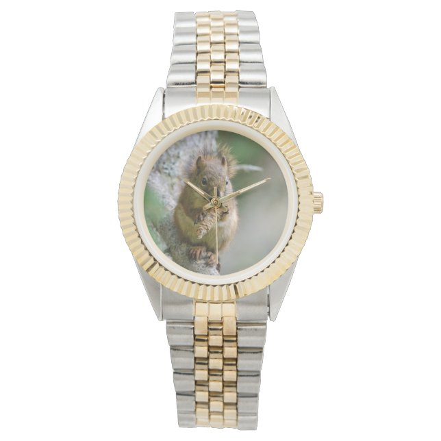Brown Squirrel, Warm Rustic Nature Watch (Front)