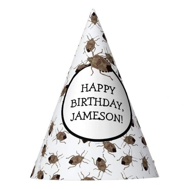 Brown Stink Bug Illustration Personalized Party Party Hat (Front)