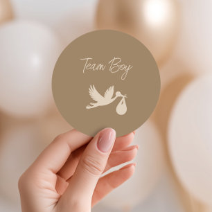 Brown Stork Baby Delivery Gender Reveal Team Boy Classic Round Sticker