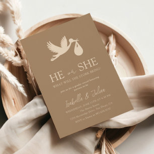 Brown Stork Baby Delivery He or She Gender Reveal Invitation
