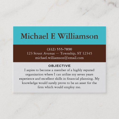 Brown Stripe Blue RESUME Business Cards