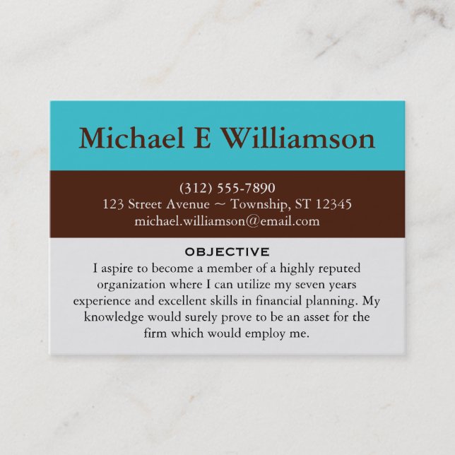 Brown Stripe Blue RESUME Business Cards (Front)