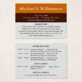 Brown Stripe Orange RESUME Business Cards (Front & Back)