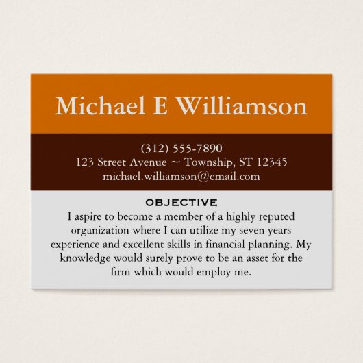Brown Stripe Orange RESUME Business Cards (Front)