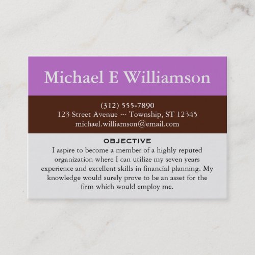 Brown Stripe Purple RESUME Business Cards