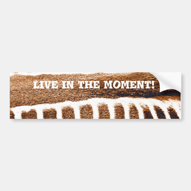 Brown Stripes_ Bumper Sticker (Front)