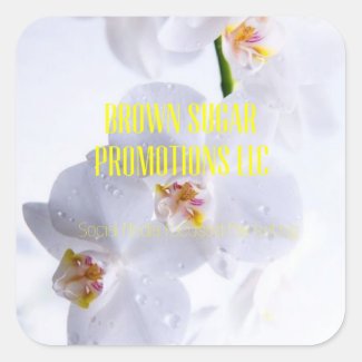 Brown Sugar Promotions LLC Stickers 01