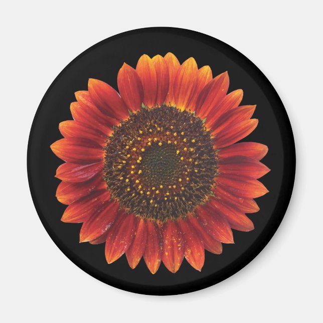 Brown Sunflower Magnet (Front)