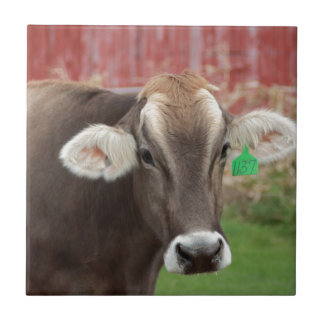 Brown Swiss Cow Ceramic Tile