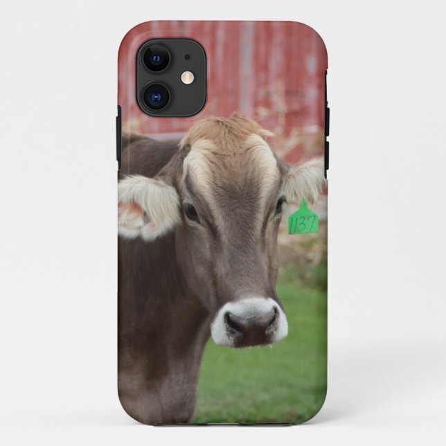 Brown Swiss Cow IPhone Case (Back)