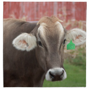 Brown Swiss Cow Napkin