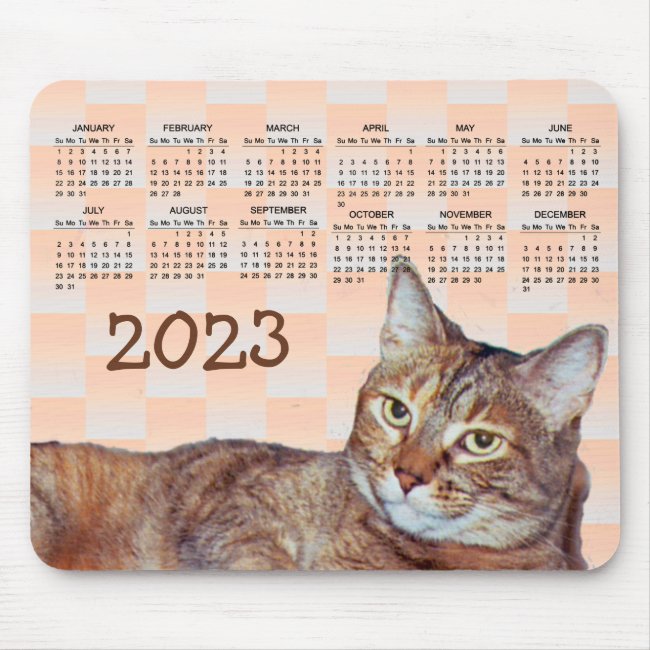Brown Tabby Cat 2023 Calendar Mousepad