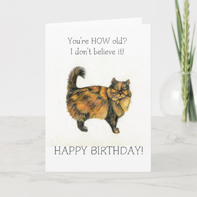 Brown Tabby Cat Birthday Card (Front)