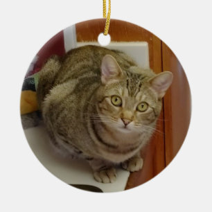 Brown Tabby Cat Christmas Ornament