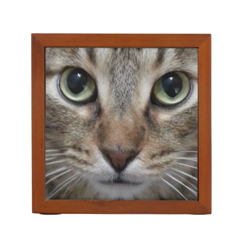 Brown Tabby Cat Desk Organizer