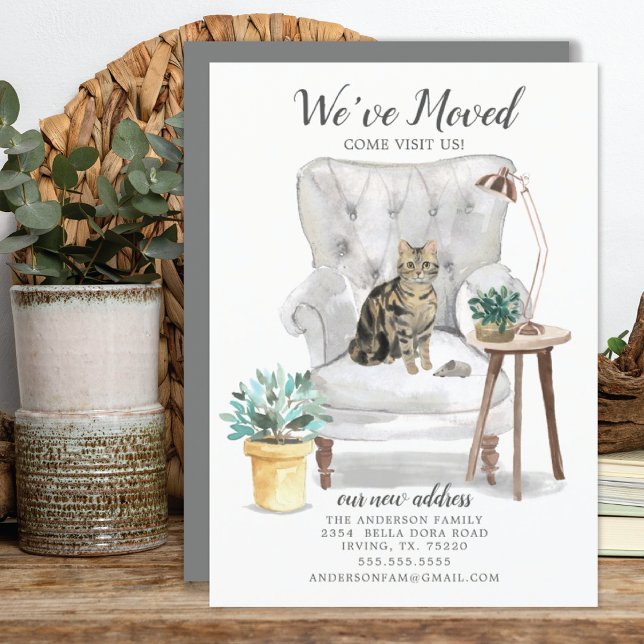 Brown Tabby Cat Moving Announcement (Creator Uploaded)