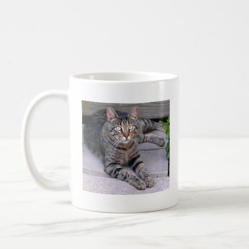 Brown Tabby Cat Outdoors Coffee Mug